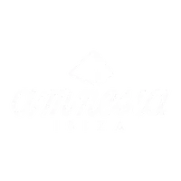 Amnesia